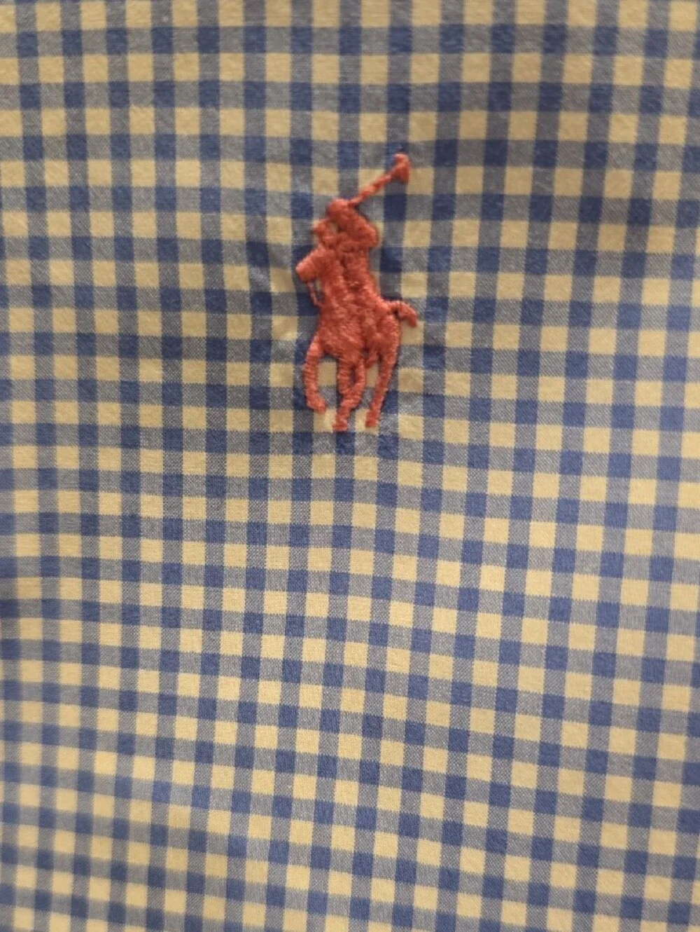 Polo by Ralph Lauren Light Blue Gingham Button-Down Shirt